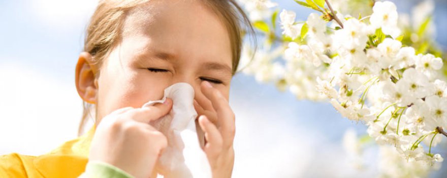 Consejos para la alergia primaveral