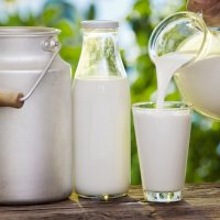 Tipos de leche y sus características