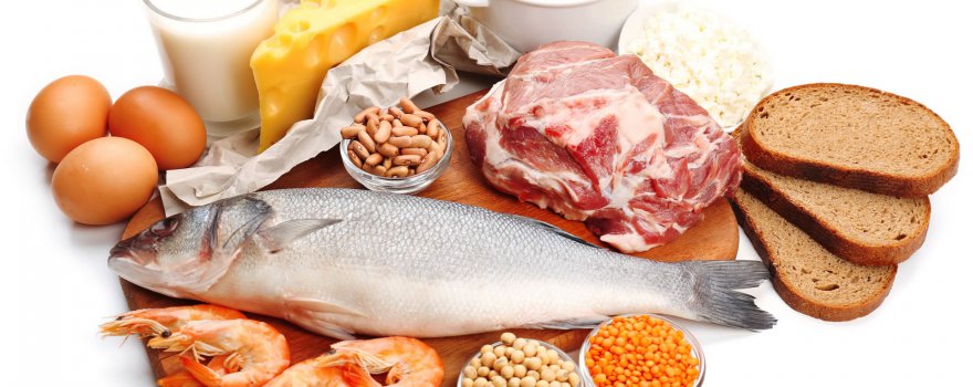 Los 10 alimentos más ricos en proteínas